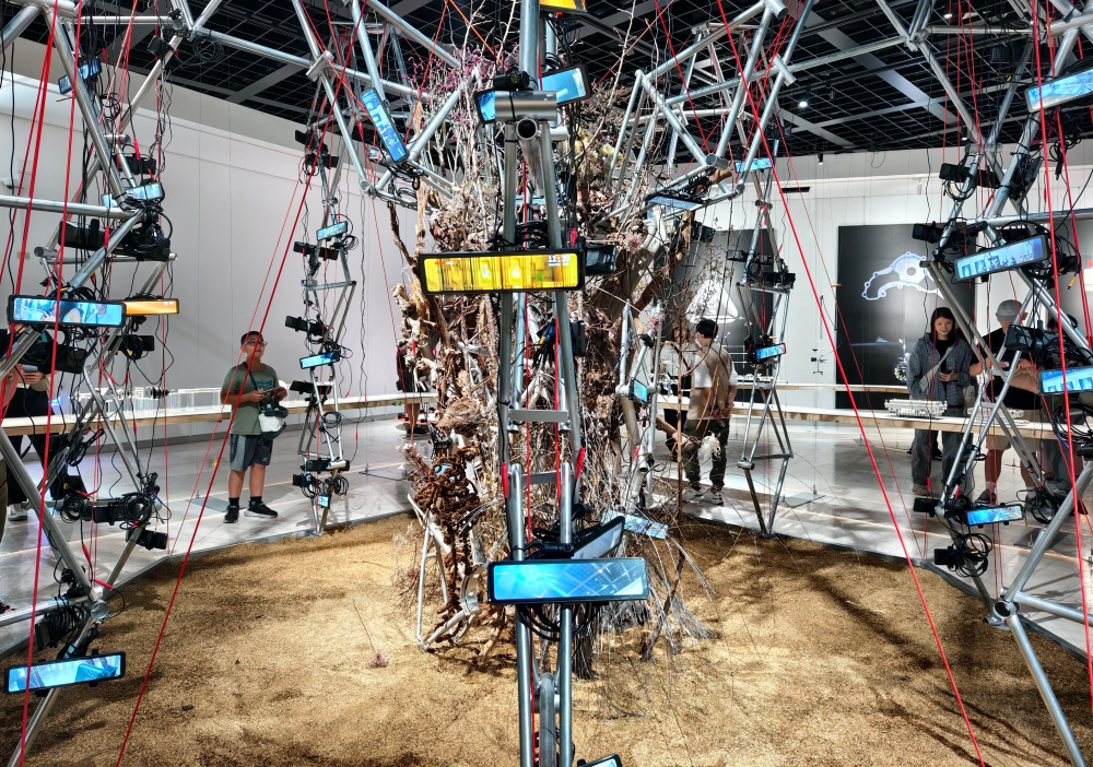 2025 彰化行 台灣設計展 彰化展區逛展攻略 (含免費接駁資訊)
