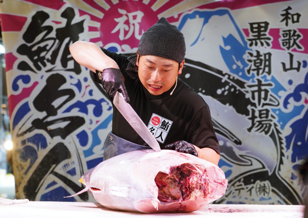 麗星郵輪探索星號 大阪、高知首航 郵輪重點設施、必吃美食、娛樂活動推薦、美拍角度一次看