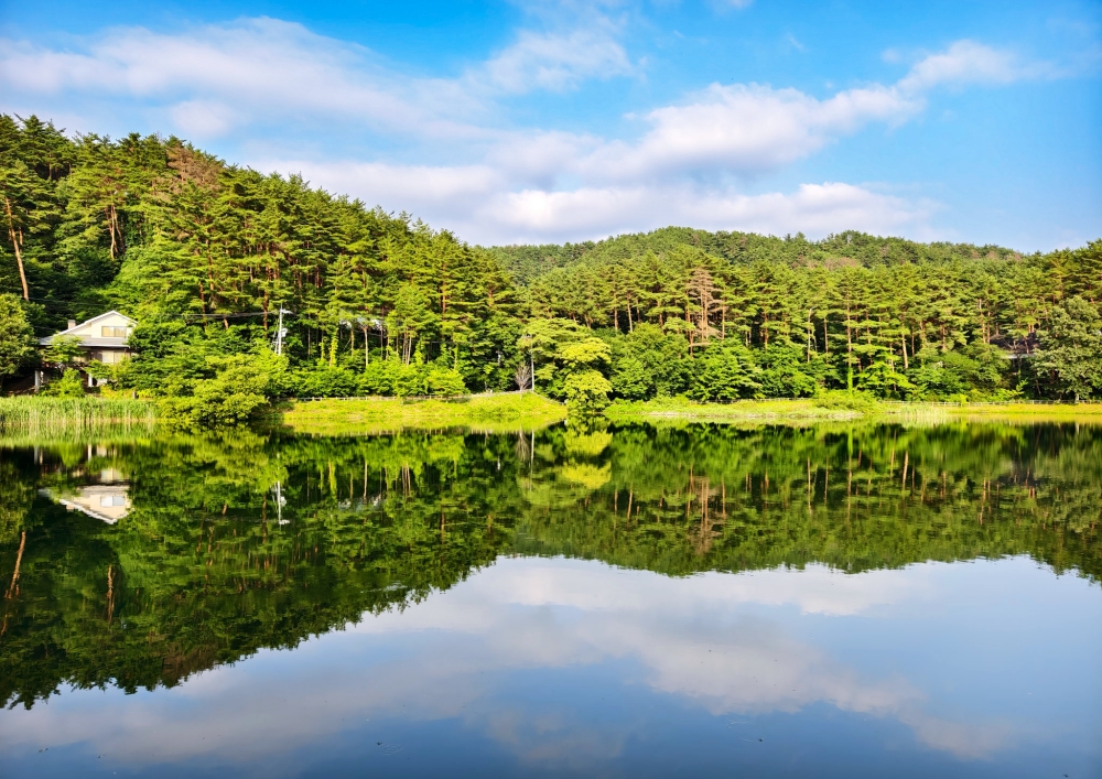 鳥取大山周邊景點：植田正治寫真美術館、久米櫻酒造、大山桝水高原、大山牧場牛奶故鄉、日本名池大城池、大山美居溫泉度假酒店