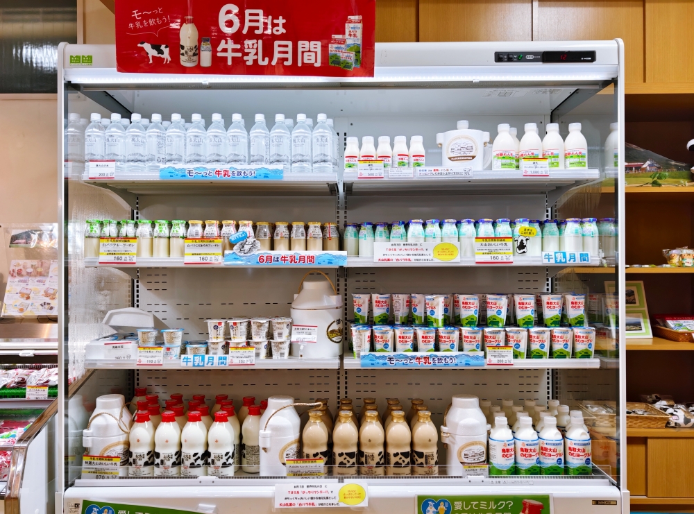 鳥取大山周邊景點：植田正治寫真美術館、久米櫻酒造、大山桝水高原、大山牧場牛奶故鄉、日本名池大城池、大山美居溫泉度假酒店